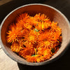 Spring Skincare Special: Why You Should Try Calendula Products